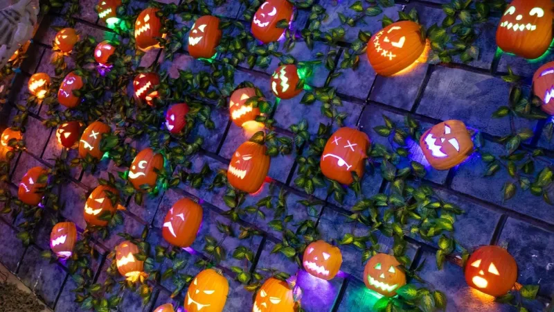 HallOVeen at Magical Forest runs nightly through Oct. 31 to benefit Opportunity Village