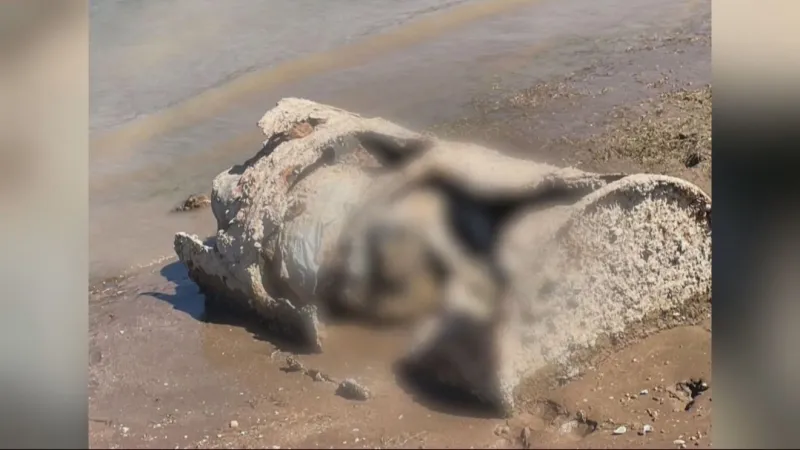 Coroner, LVMPD identify 2022 Lake Mead barrel homicide victim