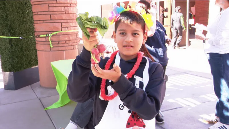 More than 400 students sell school-grown produce at annual student farmers market