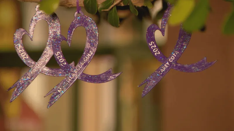 Families honor victims as domestic violence homicides rise in Las Vegas