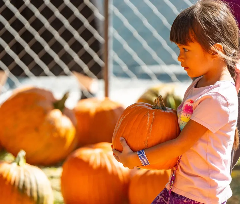Pumpkin Days begins next week