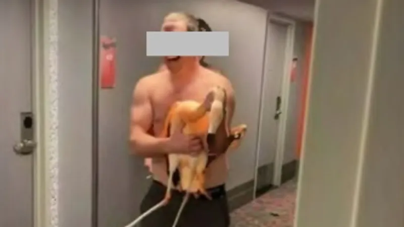 Man who took flamingo from Las Vegas hotel exhibit found guilty of animal cruelty
