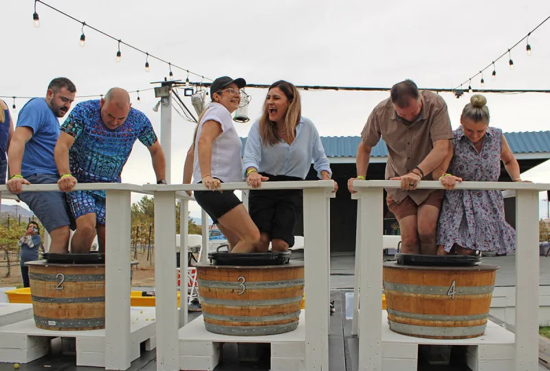 Annual Grape Stomp a crushing success