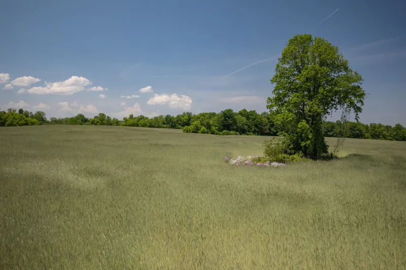 Land Trust Protects 73 Acres in Tompkins County