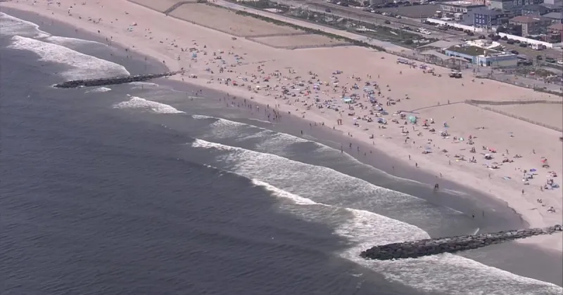 Shark sightings at Rockaway Beach force swimmers out of the water