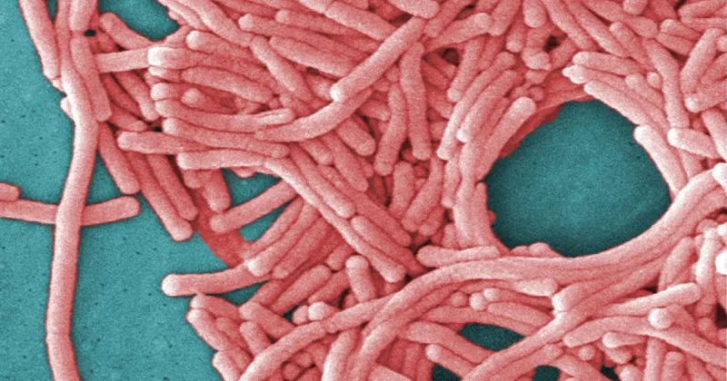 NYC Legionnaires' disease outbreak in Harlem leads to 2nd death. Here's what to know about the symptoms.