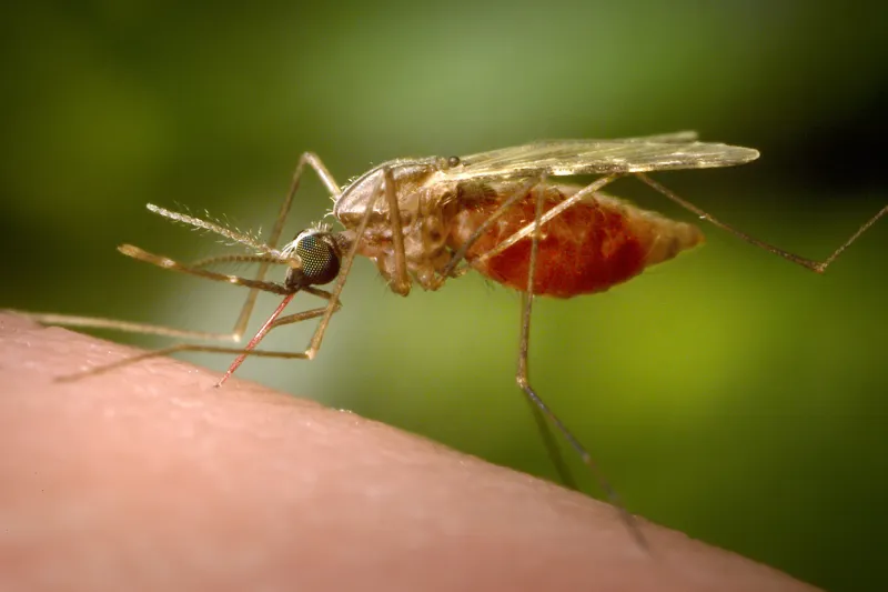China Unleashes Massive Surveillance Program To Slow Spread of Mosquito-Borne Virus