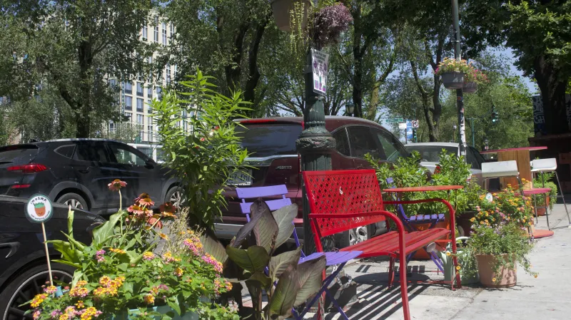 This is officially the greenest, most beautiful block in all of Brooklyn