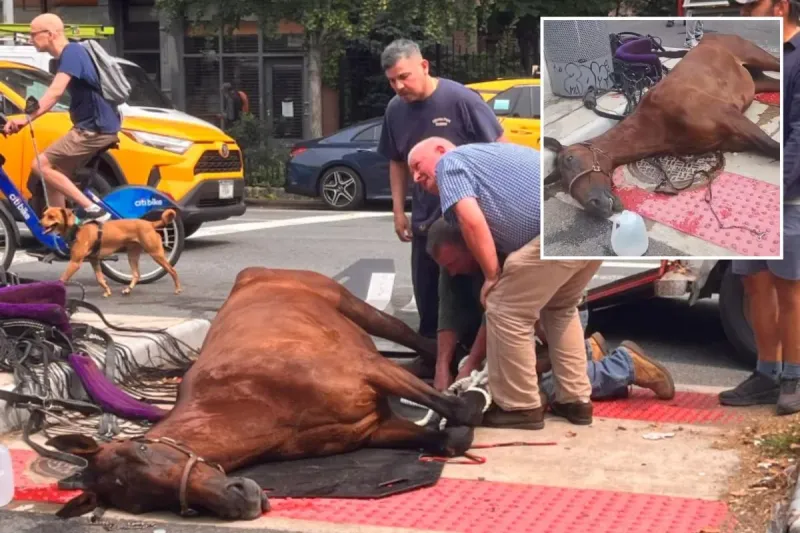 Carriage horse dies on NYC street in horrifying scene - nearly three years to the day distressed Ryder collapsed