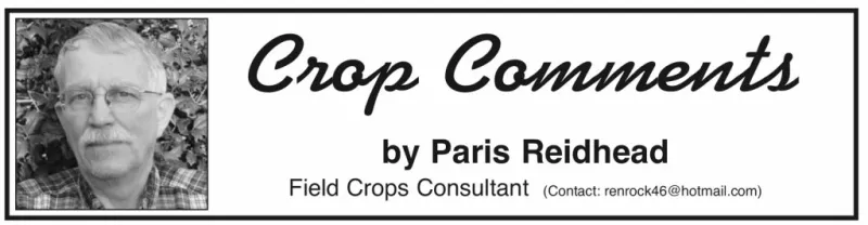 Crop Comments: Should the Chicago Board of Trade Deal in Hay Futures?
