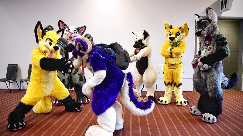 New York college approves 'furry' student club as trend spreads across US campuses