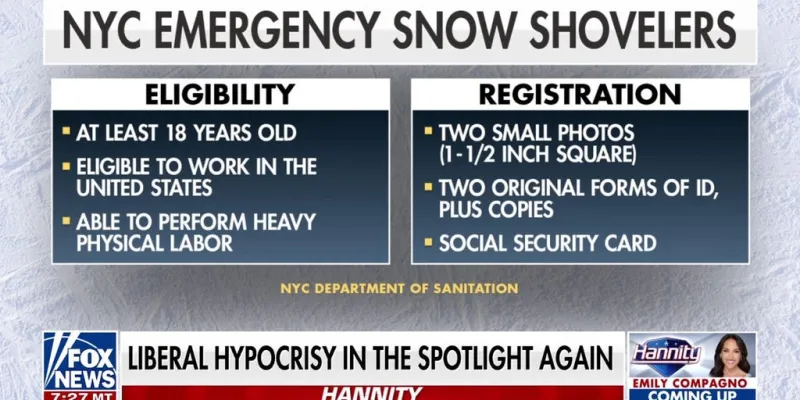 Needing 5 forms of ID to shovel in a snowstorm but not to vote is 'ridiculous': GOP lawmaker