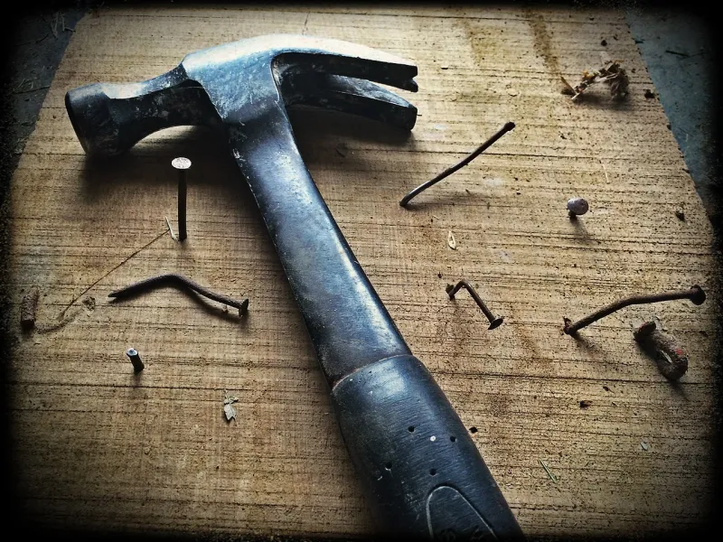 The handyman's wife: Why marrying for 'maintenance' beats money every time