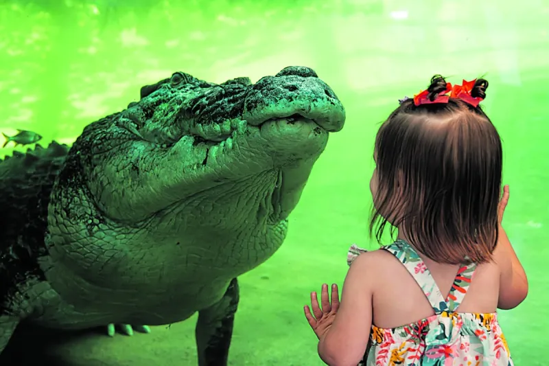 New attractions, programs, events abound at the Zoo