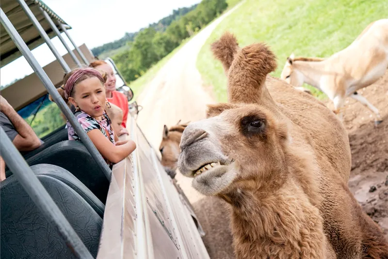 30 Kids Adventures in Ohio