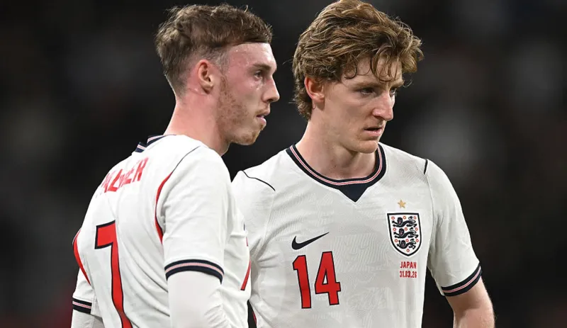 England vs New Zealand: How to Watch, Prediction, Odds, Friendly Preview