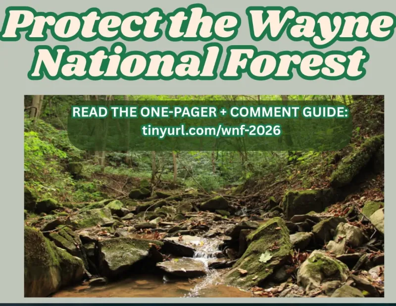 Protect the Wayne National Forest