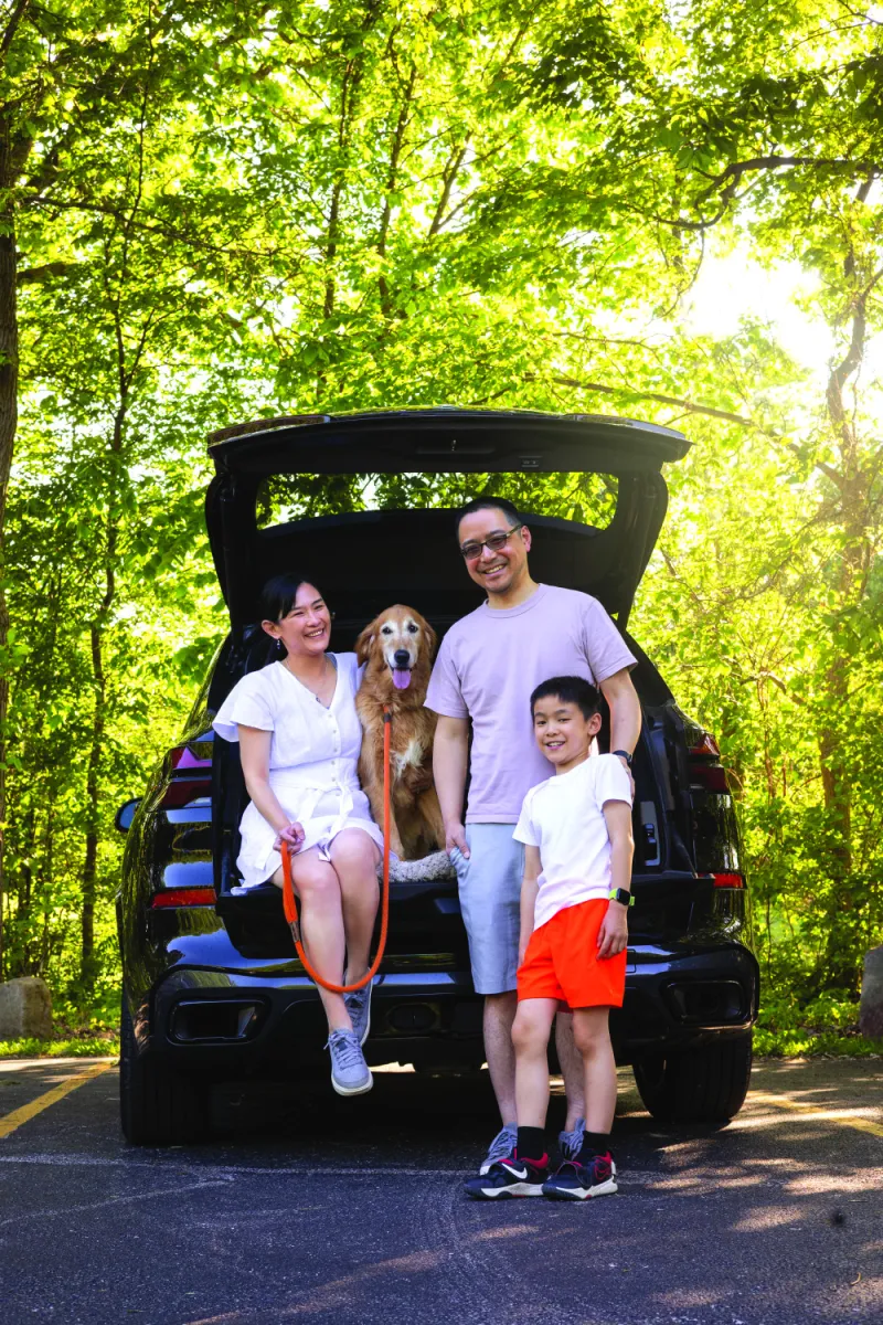 Plan a Pet-Friendly Summer Road Trip