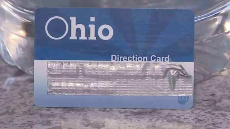Ohio bill adding chips to EBT cards passes only with new Medicaid verifications, rules