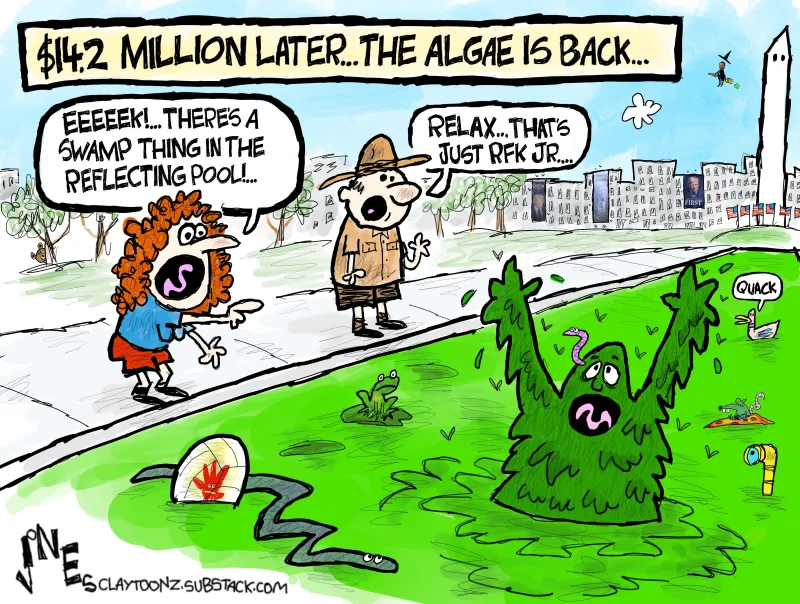 Drain The Swamp Things