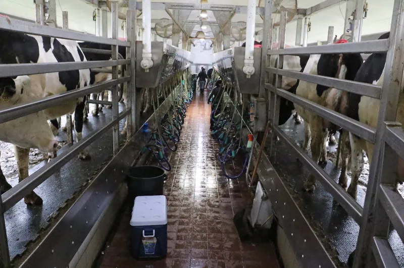 Celebrate dairy farmers all month long