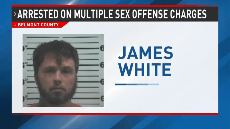 Bellaire man arrested on four sex offense charges involving minors