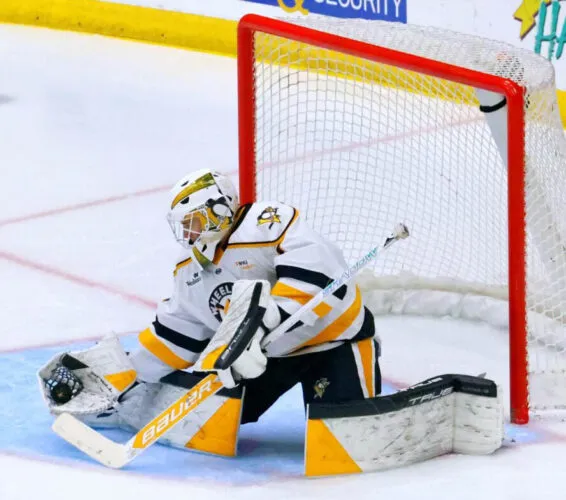 Wheeling Nailers in Jeopardy of Losing Longtime Affiliation with Pittsburgh Penguins