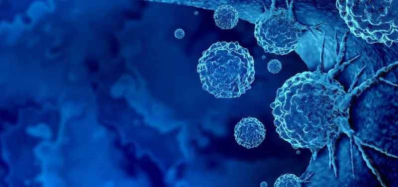 An Ohio University research team is challenging a long held belief about osteopathic medicine and cancer treatment