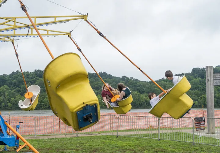 Vienna Freedom Festival continues to grow with new attractions and community focus