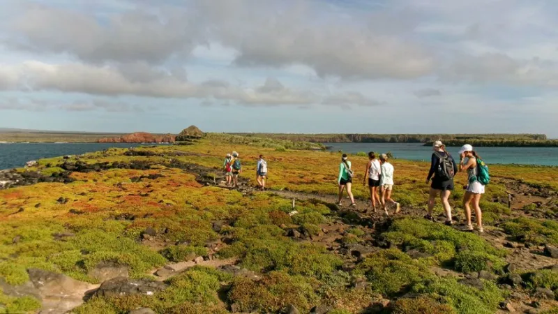 Island Biology