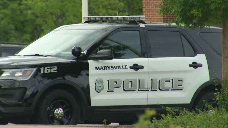 Marysville Police: Grove City man assaults officers during routine traffic stop