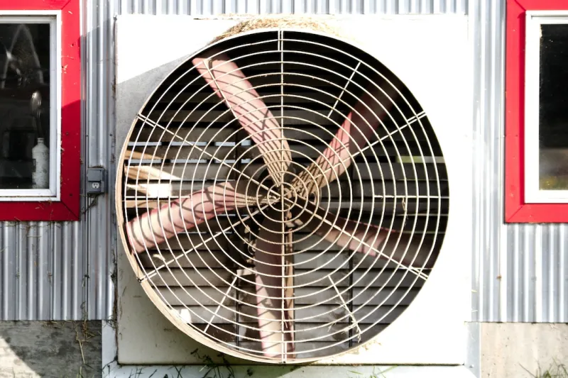 Evaluating your heat stress mitigation plan should include your nutrition program