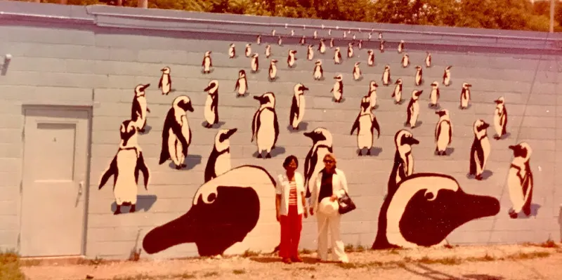 'Why not penguins?' - Community Pottery mural turns 50