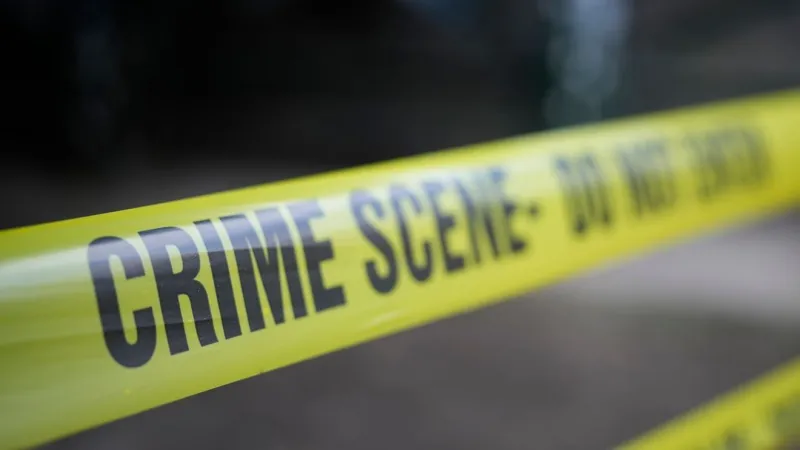 67-year-old woman found dead in possible domestic violence incident, suspect charged