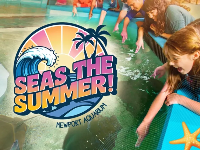 SEAS the Summer at Newport Aquarium
