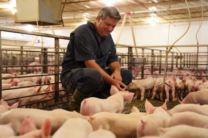 Pennsylvania Farm Bureau president resigns