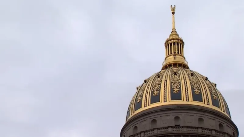 Federal court dismisses West Virginia lawsuit over access to voter records