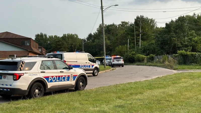 Officer shot by another officer during domestic dispute response; officer shot dog too