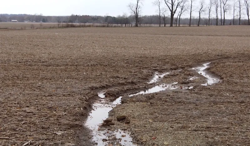 Don't let your soil turn into chocolate milk
