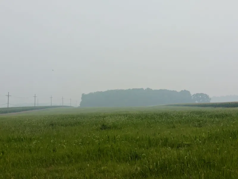 Statewide air quality advisory in effect
