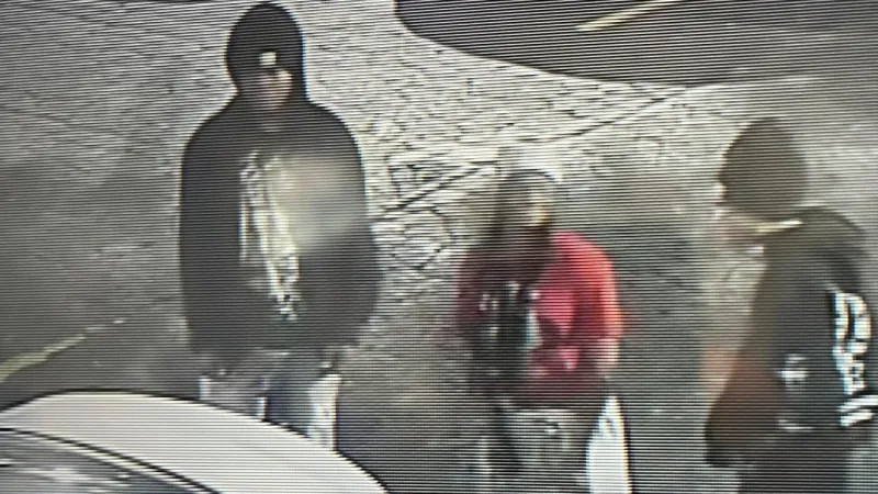Police seek 3 suspects in car theft caught on video