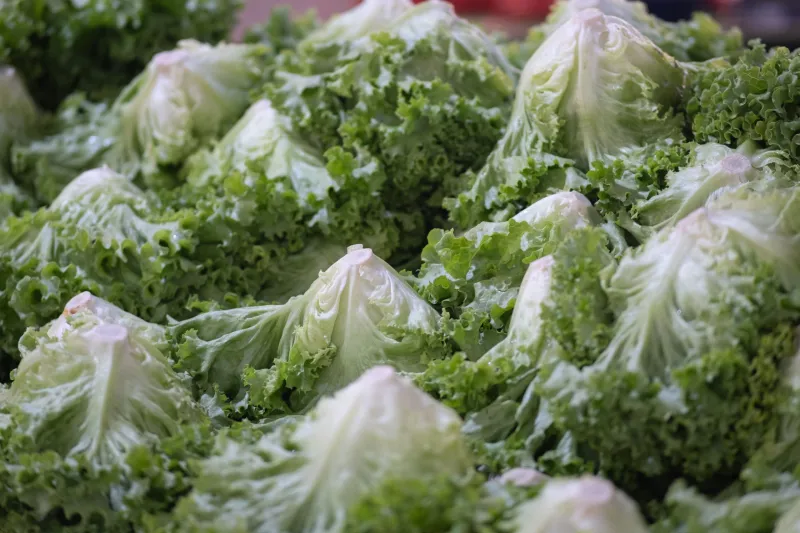 How to protect yourself this "Cyclospora summer"