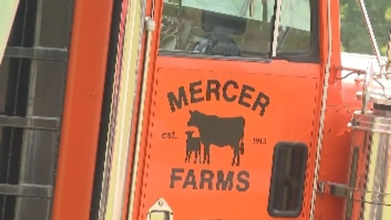 Jefferson County farm hosts brunch event to teach visitors about agriculture