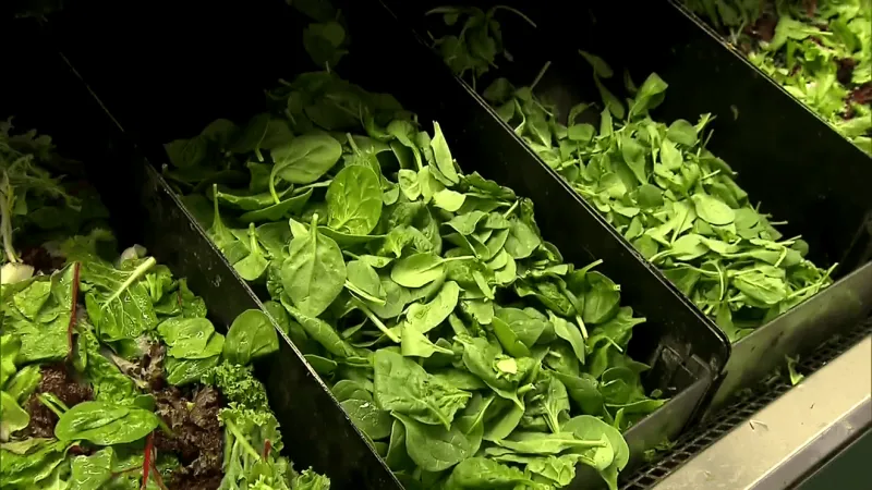 Jefferson County health officials confirm produce-related cases, say numbers are declining