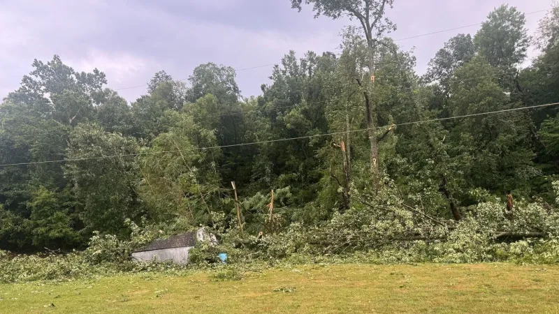 Storm knocked down trees onto several houses in Philo
