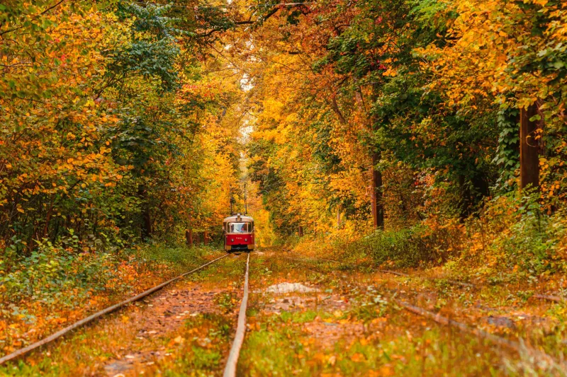 Fall Train Rides Worth the Ride