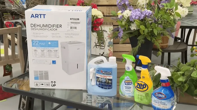 Experts say preventing mold starts with controlling moisture before it builds up