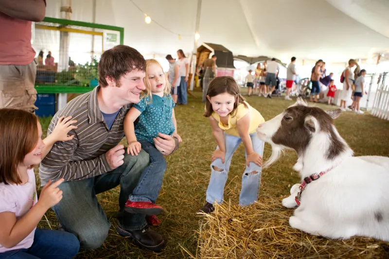 Summer Fun: County Fairs