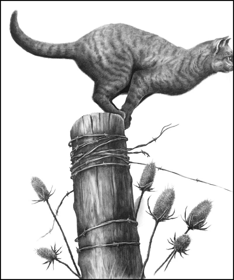 Black Swamp Arts Center "Unleashed!" Exhibit To Open