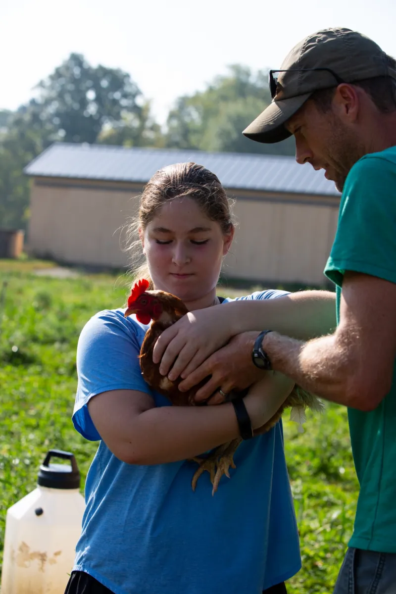 The Chicken Coop Quiz: Which Coop Is Right for Your Flock?